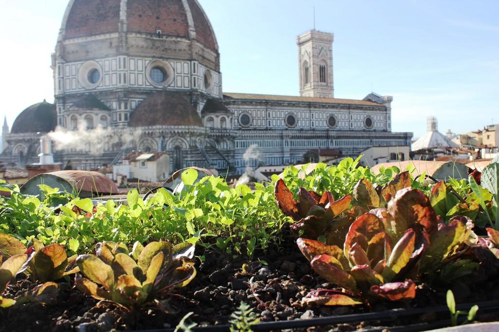 Giardini pensili - Coperture continue a verde